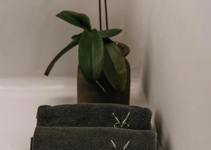 招待所 Shepherd - Luxury Fuerteventura