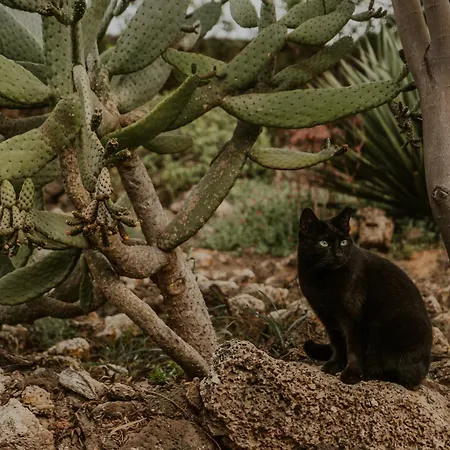 Guest house Shepherd - Luxury Fuerteventura Lajares