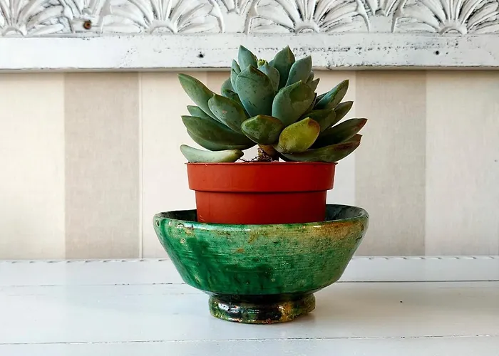 Shepherd - Luxury Fuerteventura ラハレス